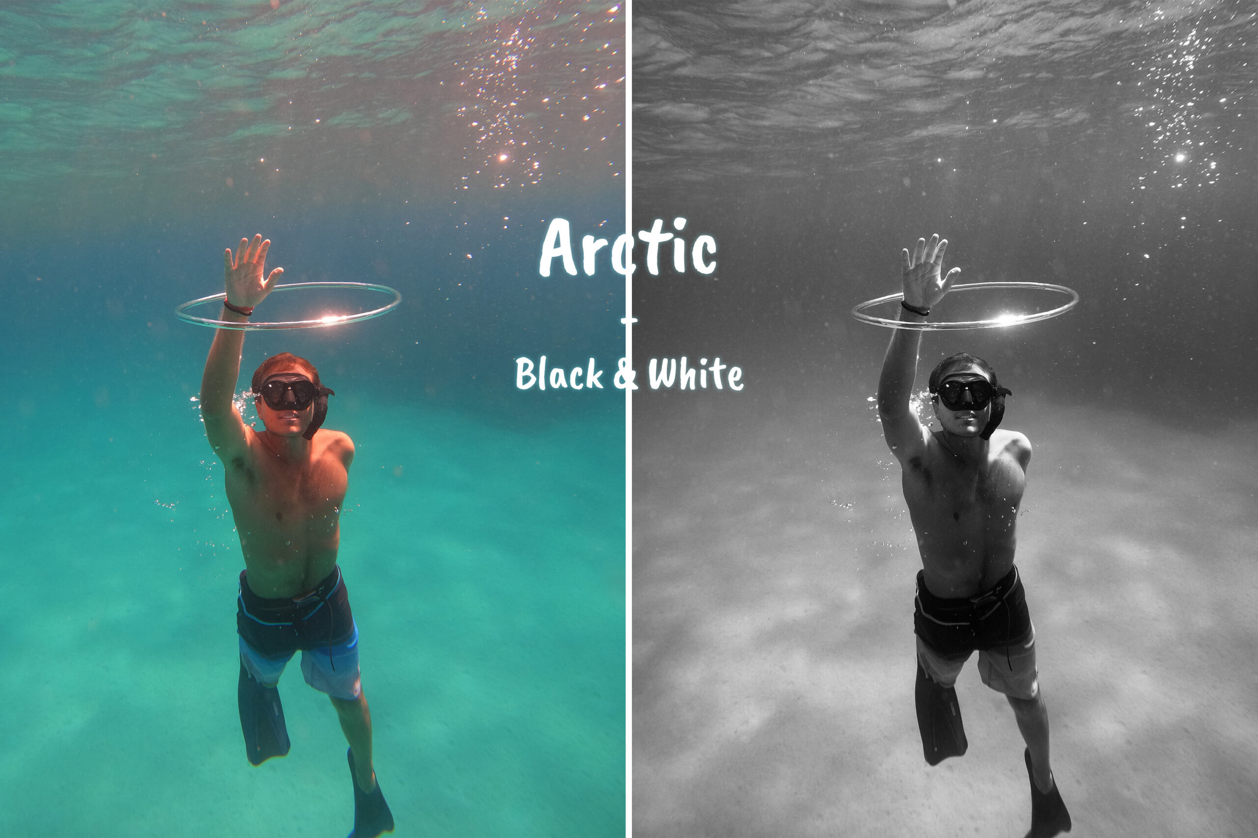 Comparison Arctic