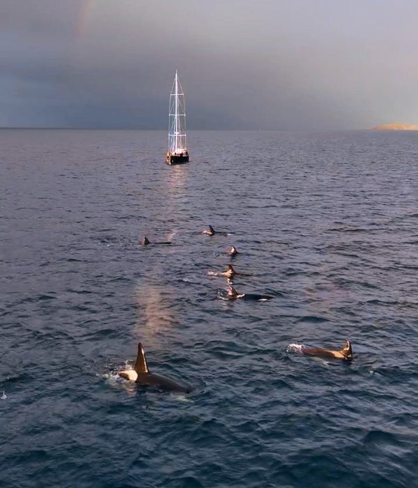 2025_11_05_00_12_49_Cache.mp4.00_00_06_09.Still003 edited web 1