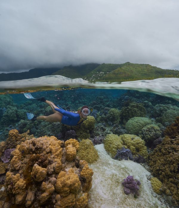 25.09.28 Reef Snorkeling 5251 edited web