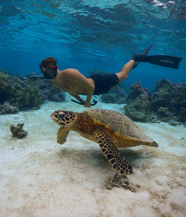 25.09.28 Reef Snorkeling 5350 edited web