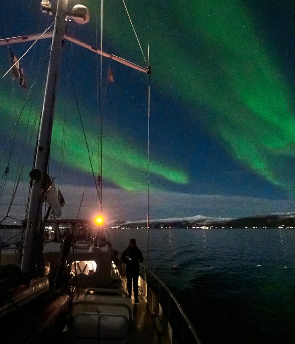 25.11.03 Valiente & Northern Lights 7972 edited web