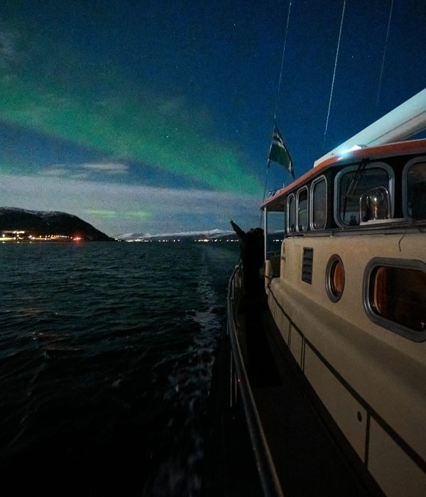 25.11.03 Valiente & Northern Lights 7986 edited web