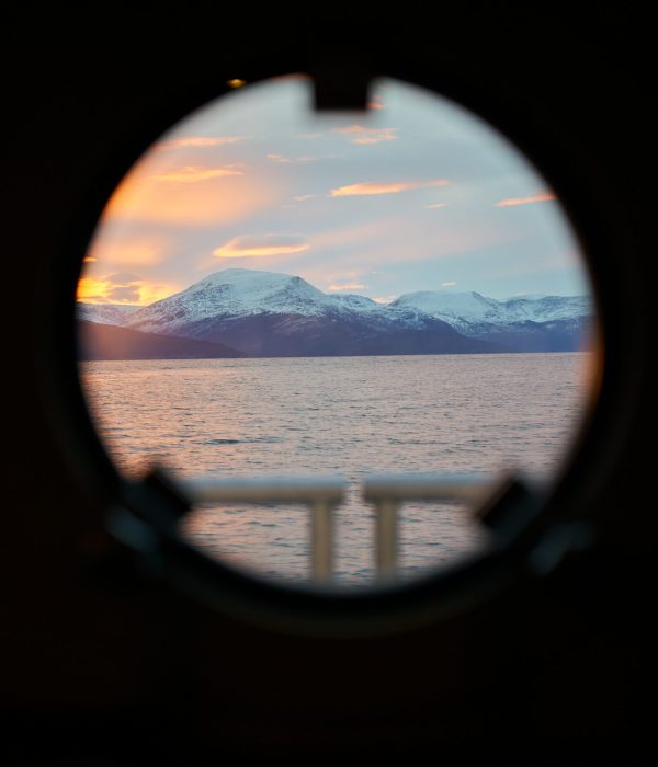 25.11.05 Orca Sunrise & Humpback 8065 edited web