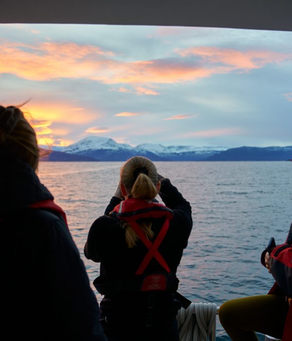 25.11.05 Orca Sunrise & Humpback 8070 edited web