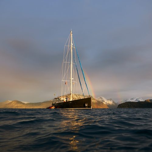 25.11.05 Orca Sunrise & Humpback 8112 edited web