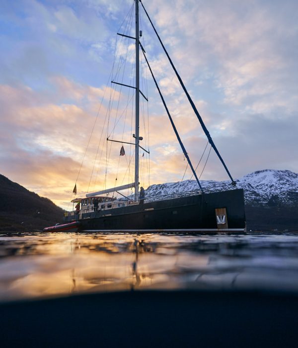 25.11.06 Orcas & Humpbacks Jøkkelfjord 8189 edited web