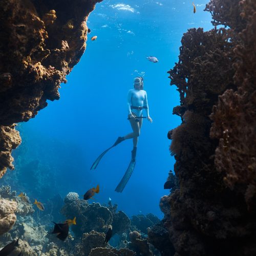 26.05.28 Day 4 - House Reef & Transfer to Aziab 02163 edited web
