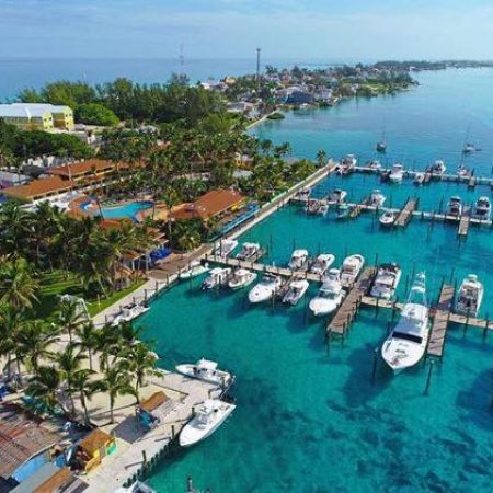 Bimini Big Game 4