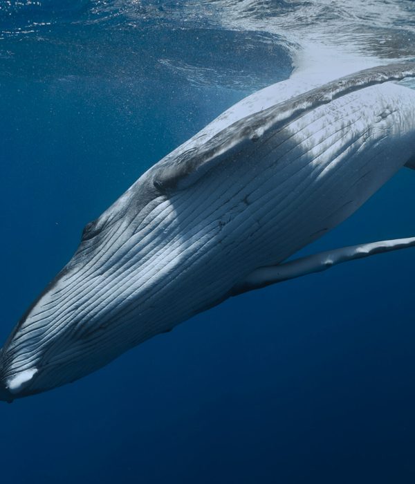 C6826.00_03_02_48.Still011 edited web