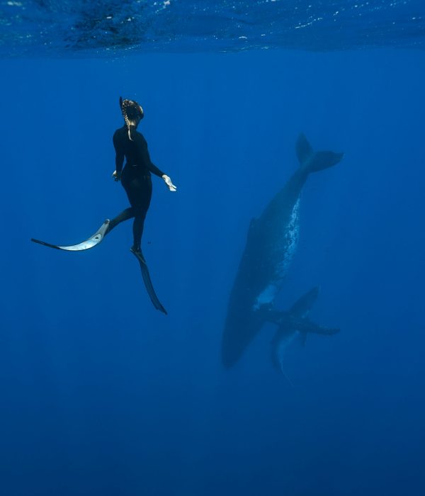 C6828.00_03_40_22.Still007 edited web