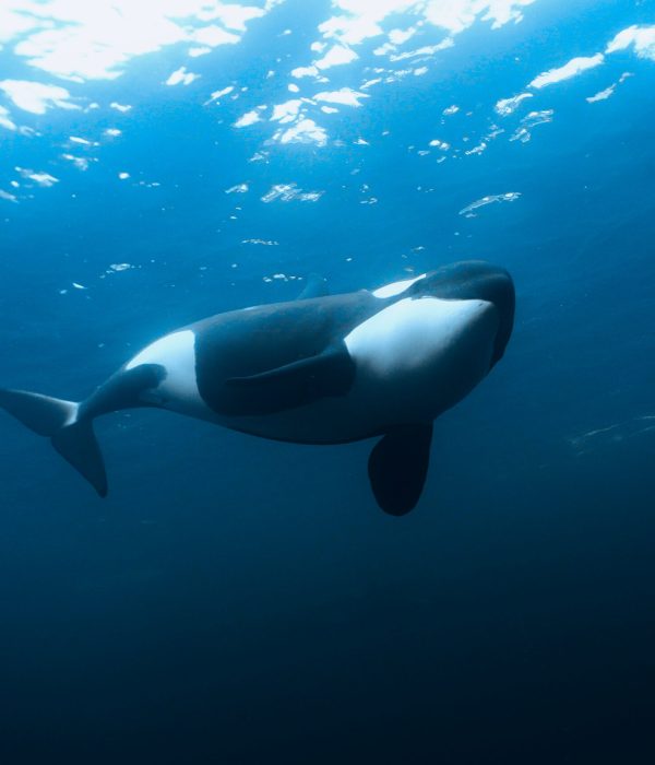 C7588.MP4.01_11_37_41.Still003 edited web