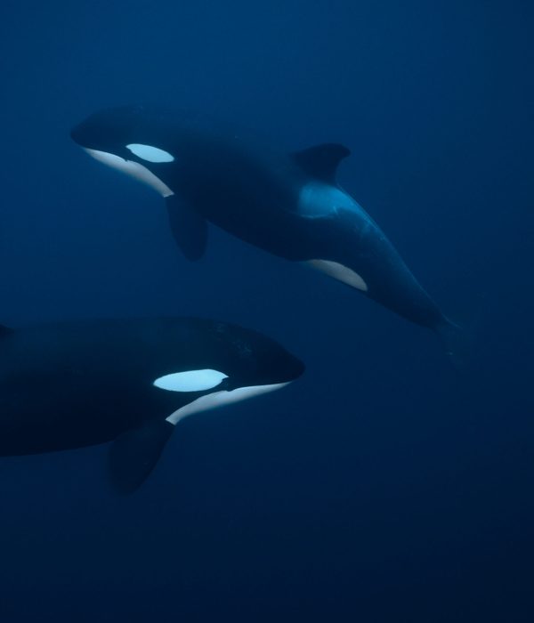 C7588.MP4.01_12_07_10.Still019 edited web