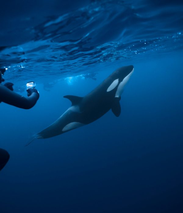 C7588.MP4.01_12_21_17.Still023 edited web