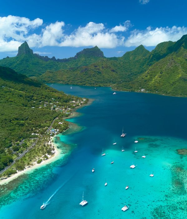 DJI_20231221043602_0038_D edited web 1