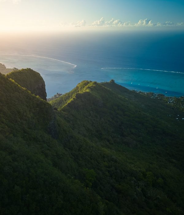 DJI_20231221105506_0062_D edited web