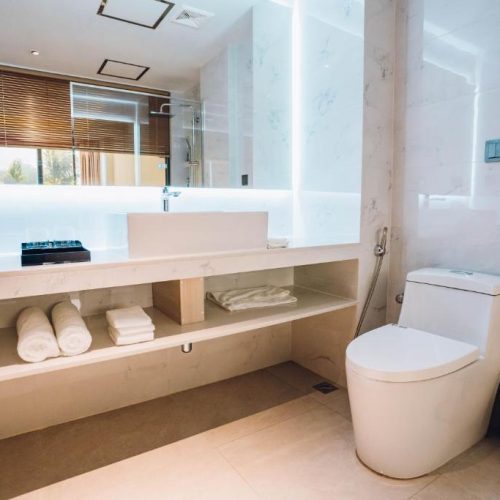 Ocean Pearl FVM toilet