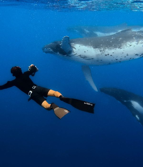 VID_20251008_151909_912.00_01_19_07.Still006 edited web