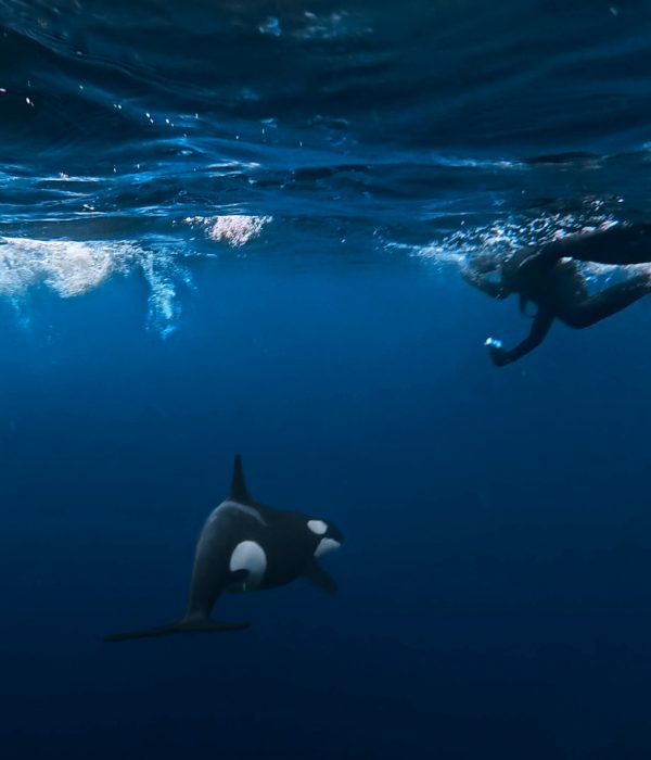 VID_20251106_235936_125.mp4.00_02_16_21.Still010 edited web