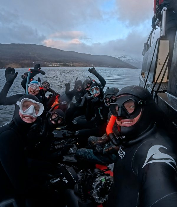 VID_20251107_004858_134.mp4.00_00_09_26.Still002 edited web